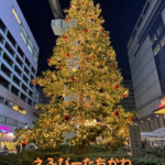 えふぴーたちかわ無料セミナー開催しました！！【令和７年１２月６日】