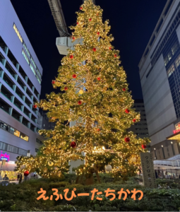 えふぴーたちかわ無料セミナー開催しました！！【令和７年１２月６日】