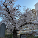 えふぴーたちかわ 個別相談会開催しました 老後生活資金編!!