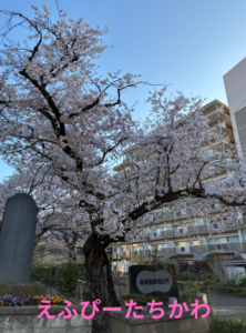 えふぴーたちかわ　個別相談会開催しました　老後生活資金編！！